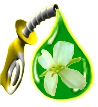 – 201001biofuel logo11