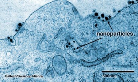– 201003cancer nanobots