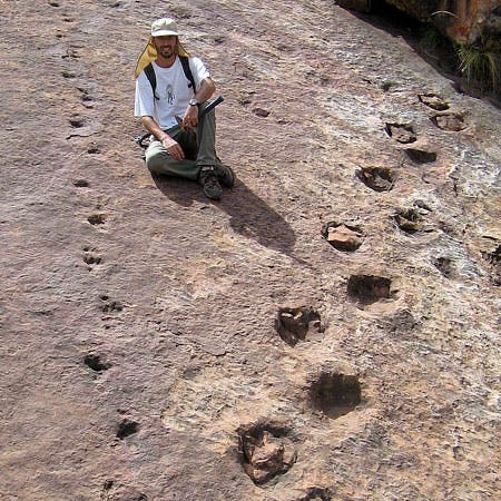 – 201102dinosaur footprint