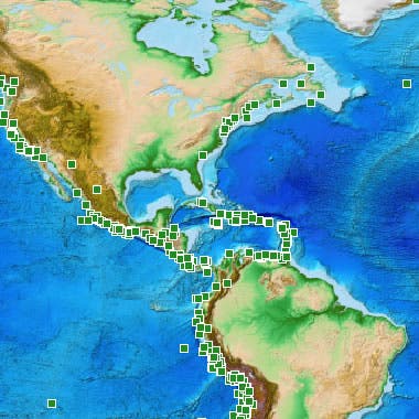 – 201103atlantic ocean tsunami