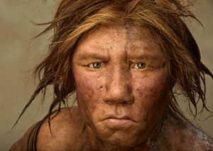 – 201105neanderthal