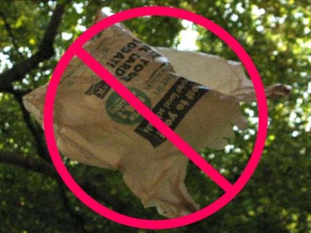 – 201106plastic bag ban