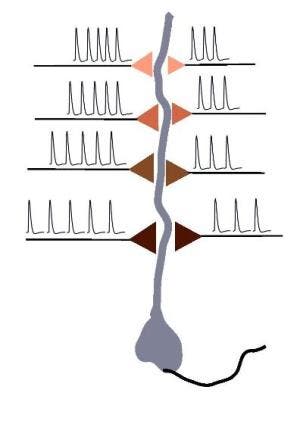 – 201110synapse