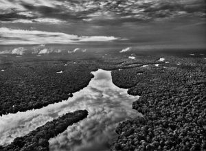 – 201111amazon 1 salgado