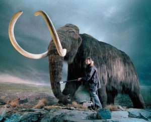 – 201112mammoth