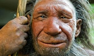 – 201202Neanderthal 001