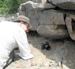 – 201203oldest forest cardiff professor excavating