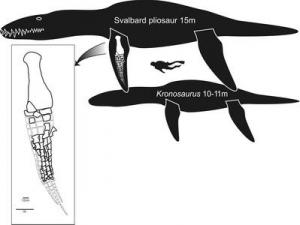 biggest pliosaur