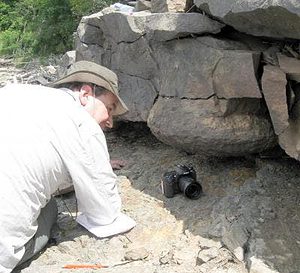 Chris Berry, a paleontologist at Cardiff University, examines the fossilized stump of a Gilboa tree in a quarry at the Gilboa Dam. (c) Cardiff University.
