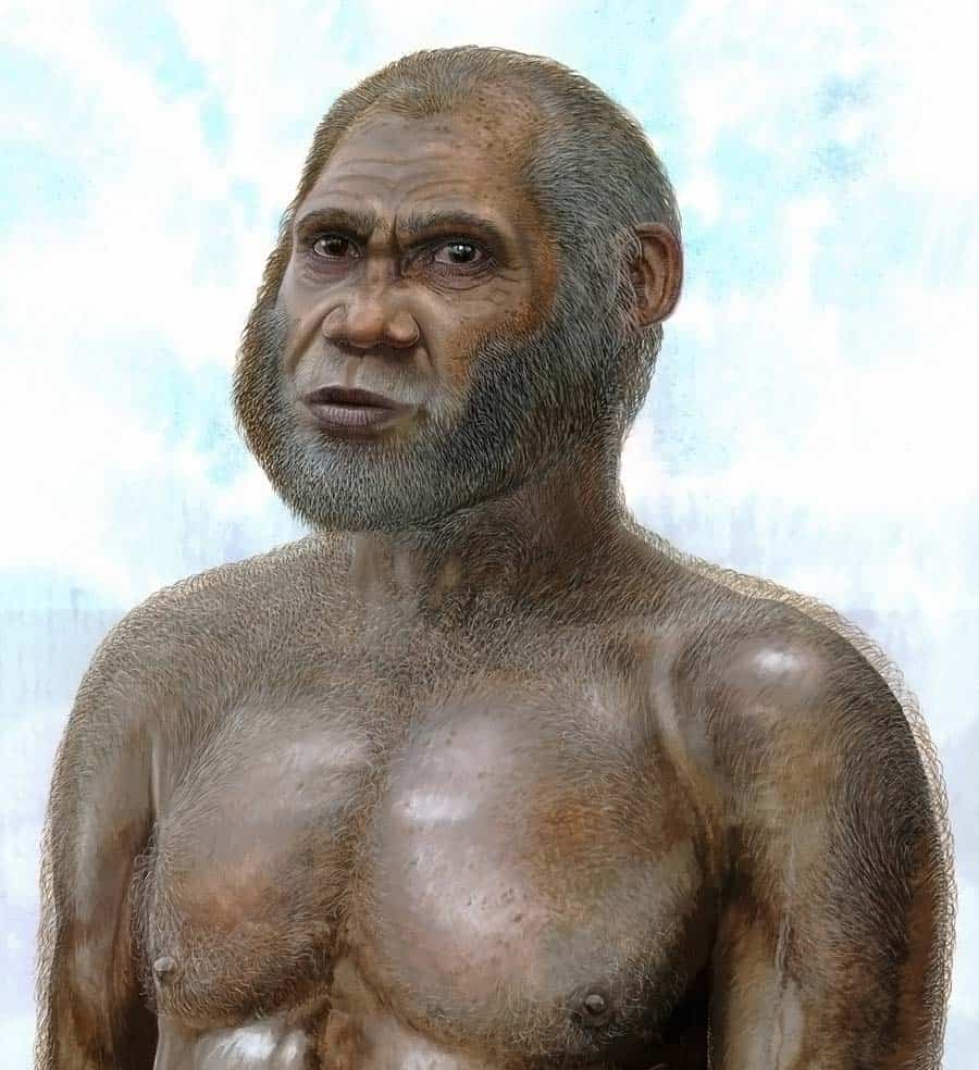 Artist impression of what the Red Cave People might have looked like between 11,500 and 14,500 years ago. (c) Peter Schouten 