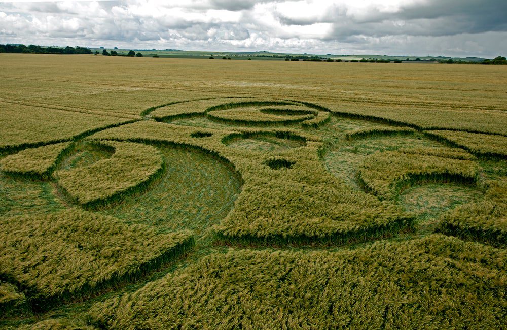 British photographer Steve Alexander flies on a helicopter most mornings to shoot new crop circles that have appeared in the U.K. countryside. The following is a collection of his images, some of which illustrate fractal patterns or draw inspiration from nature. Alexander does not claim to know how the circles are made — or who's responsible, he said: "We remain open minded about the whole question of who makes them." This photo was taken June 8, 2011, in a barley field at Kingstone Coombes in Oxfordshire, England. The circle spanned 150 feet, but Alexander said its geometry was either incorrect or incomplete.