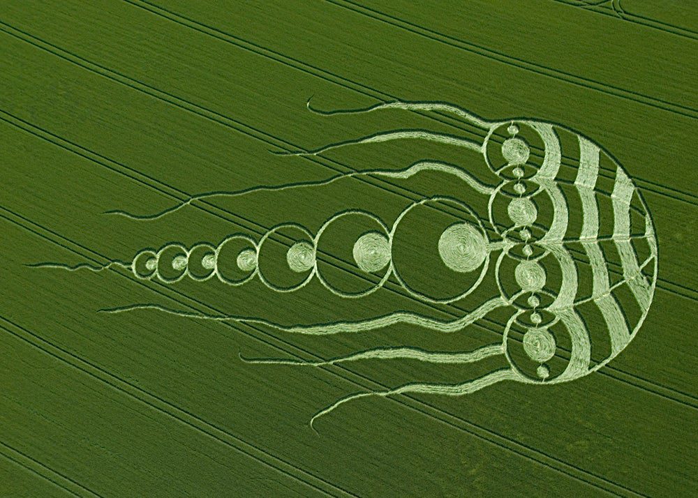This enormous jellyfish formation made headlines across Britain after its discovery in Oxfordshire May 29, 2009. It measured 600 feet — about three times the size of an average circle — and was one of the largest made that summer. Crop artists have made plenty of birds and butterflies, but this was the first jellyfish circle ever made. Its geometry was relatively straightforward, Alexander said, except that it was huge. "The tapering in its tentacles was noteworthy and particularly well executed," he said.