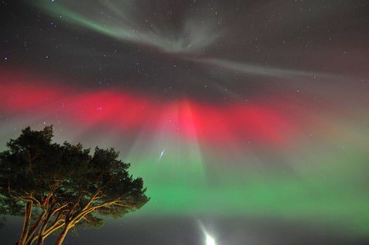 Gallery: Last Night’s Auroras as They Appeared from Across the Hemisphere