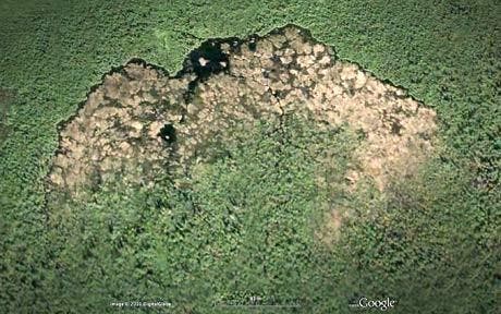 beaver_1629011c