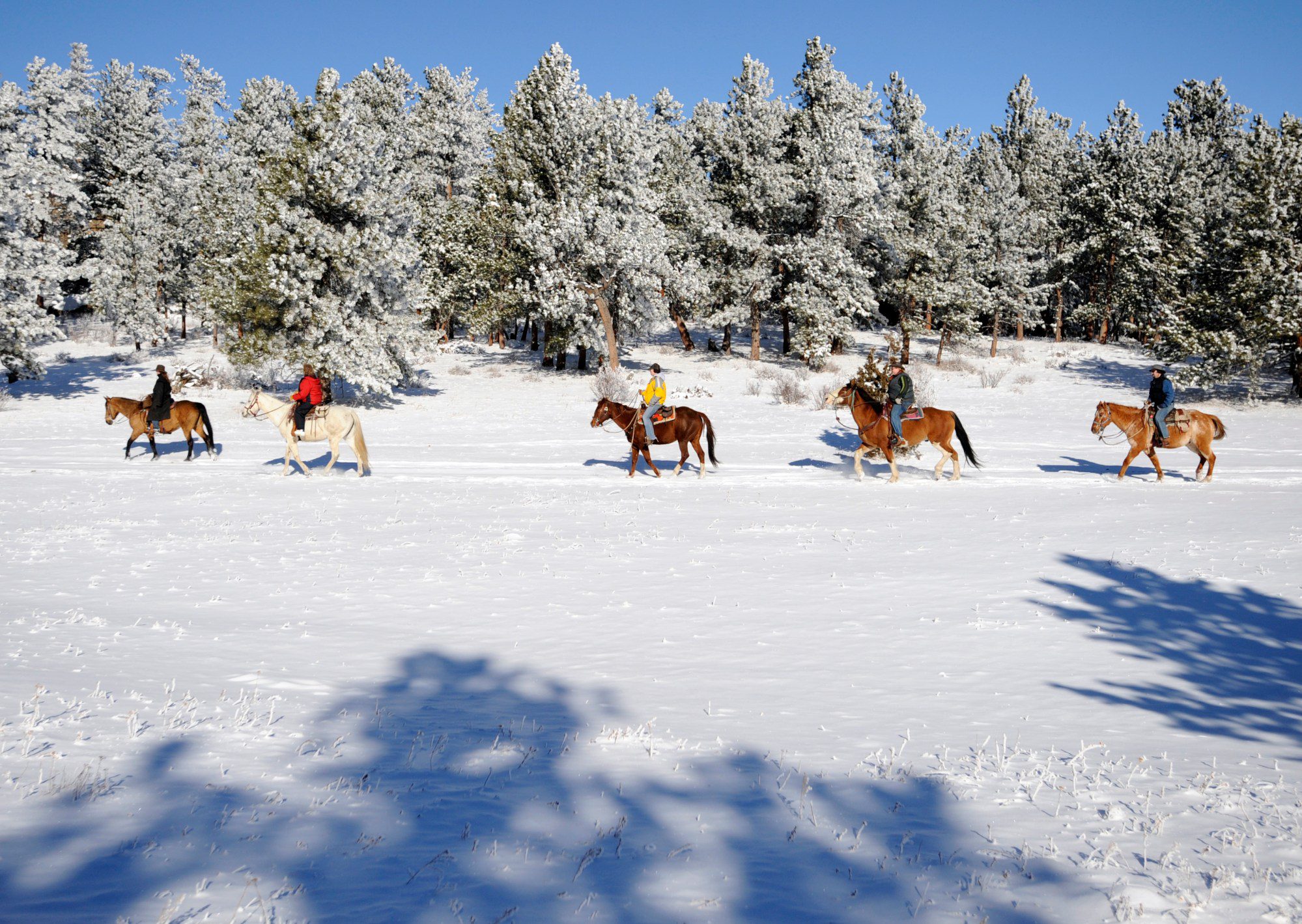 These 5 Colorado dude ranches are amazing in the winter – The Plaza Journal