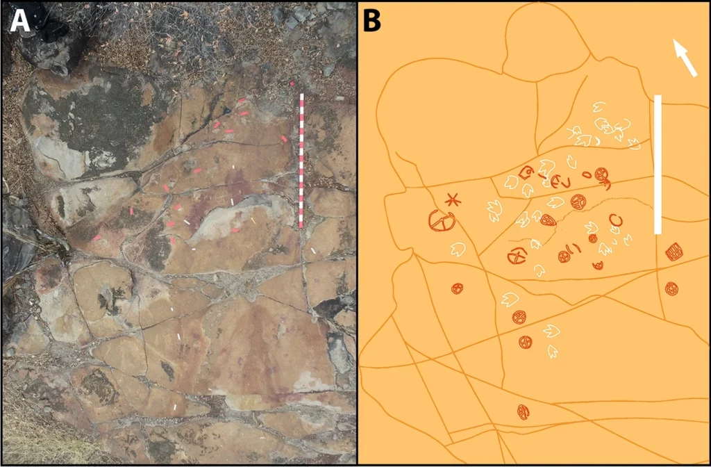 fossil tracks and petroglyphs