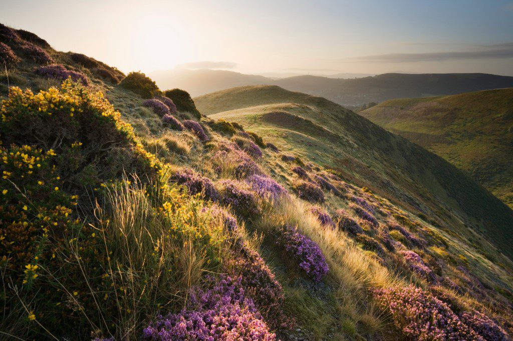 Sunrise on The Long Mynd, Shropshire, England, UK