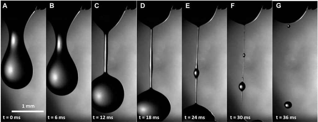 Hemolymph dripping from the wound of a caterpillar within 10–15 s after wounding. A straight filament in (D) indicates that the hemolymph either increased its viscosity or became viscoelastic.