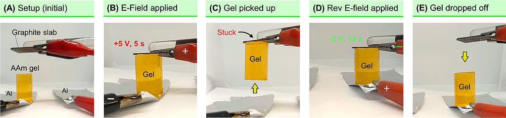 Electroadhesion demonstration