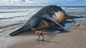 – 20240417beached ichthyosaur illustration