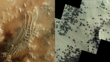 – 20240425spiders inca mars