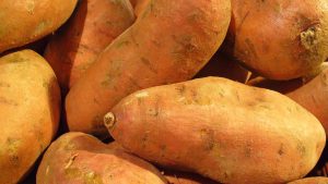 – 20240425sweet potato