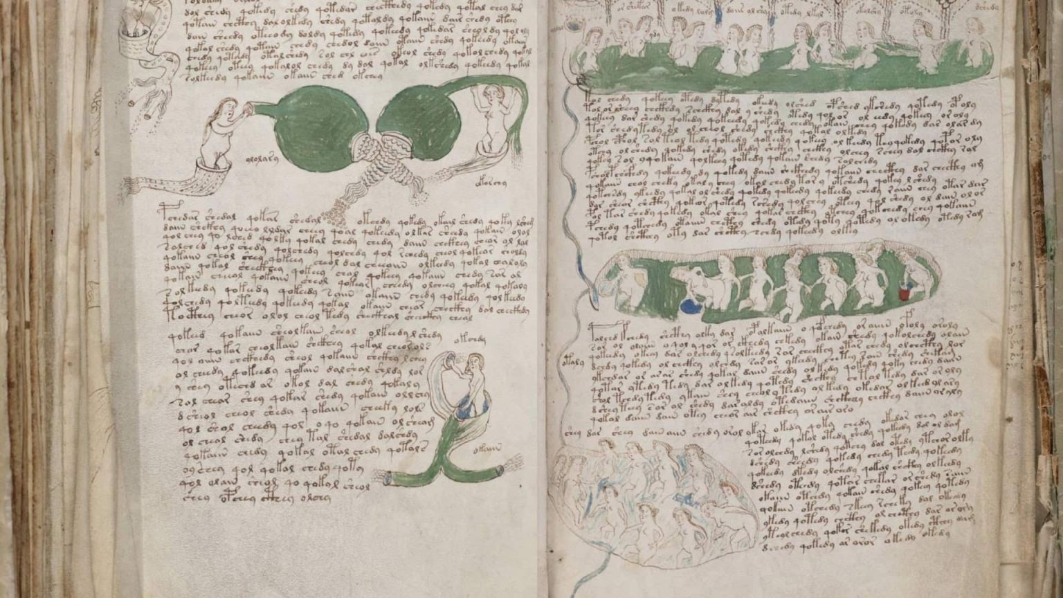 – 202404voynich manuscript rukopis voinicha rukopis voinich kniga