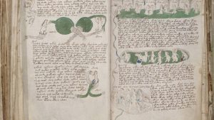 – 202404voynich manuscript rukopis voinicha rukopis voinich kniga