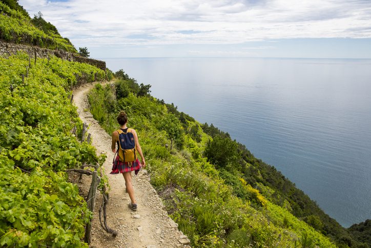 Hiking past vinyards along the Cinque Terre