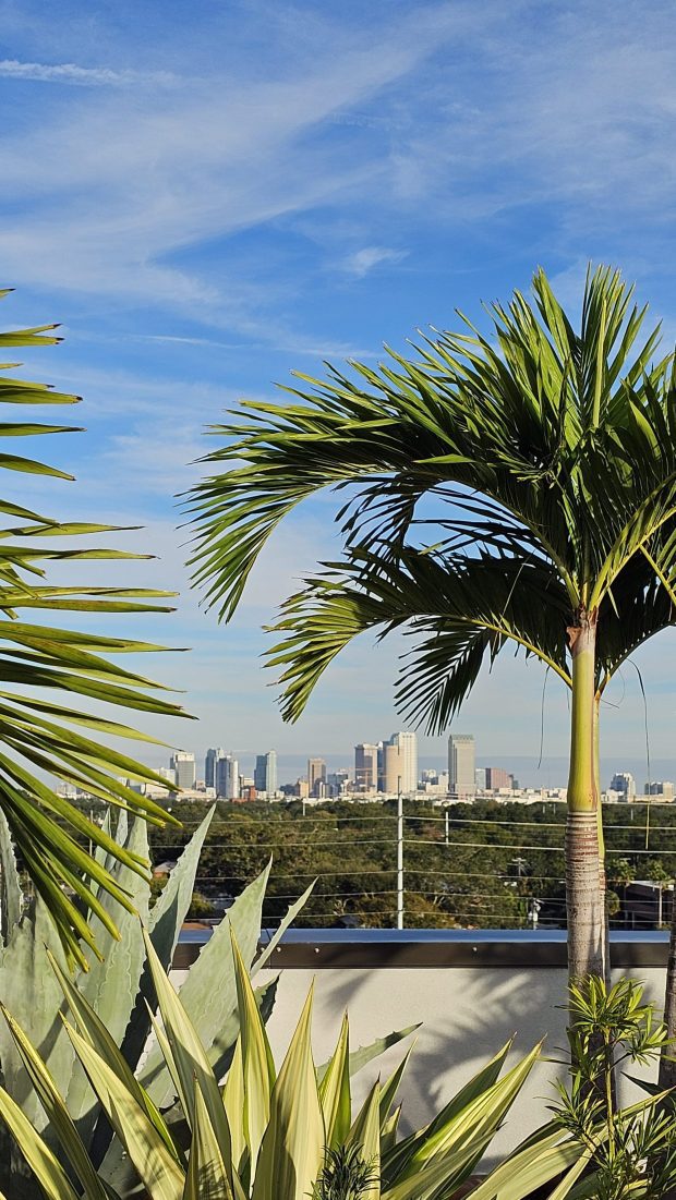 Panoramic views of the Downtown Tampa from the rooftop at the Aloft Hotel (Courtesy of Chris Bartlett)