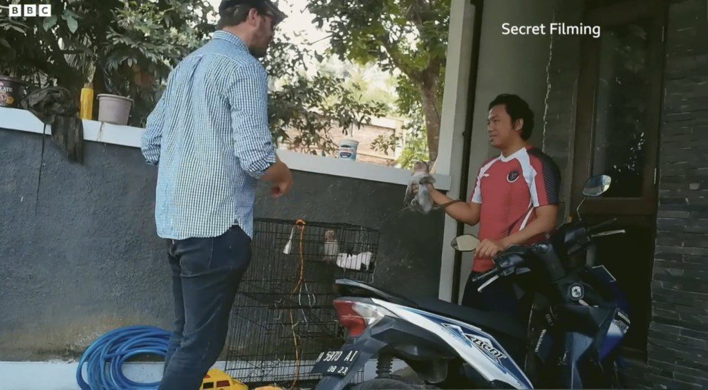 The sinister gang commissioned horrific videos of monkeys getting tortured to death.