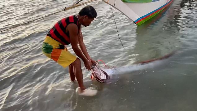 Man catches fish