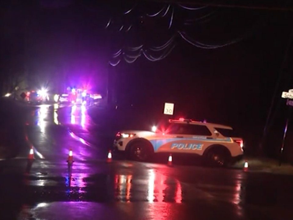 An intense storm in New York on Wednesday downed multiple trees including one that smashed a mother's vehicle 