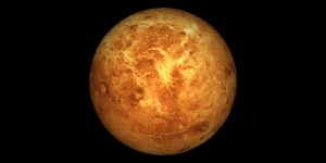 – 202405VENUS