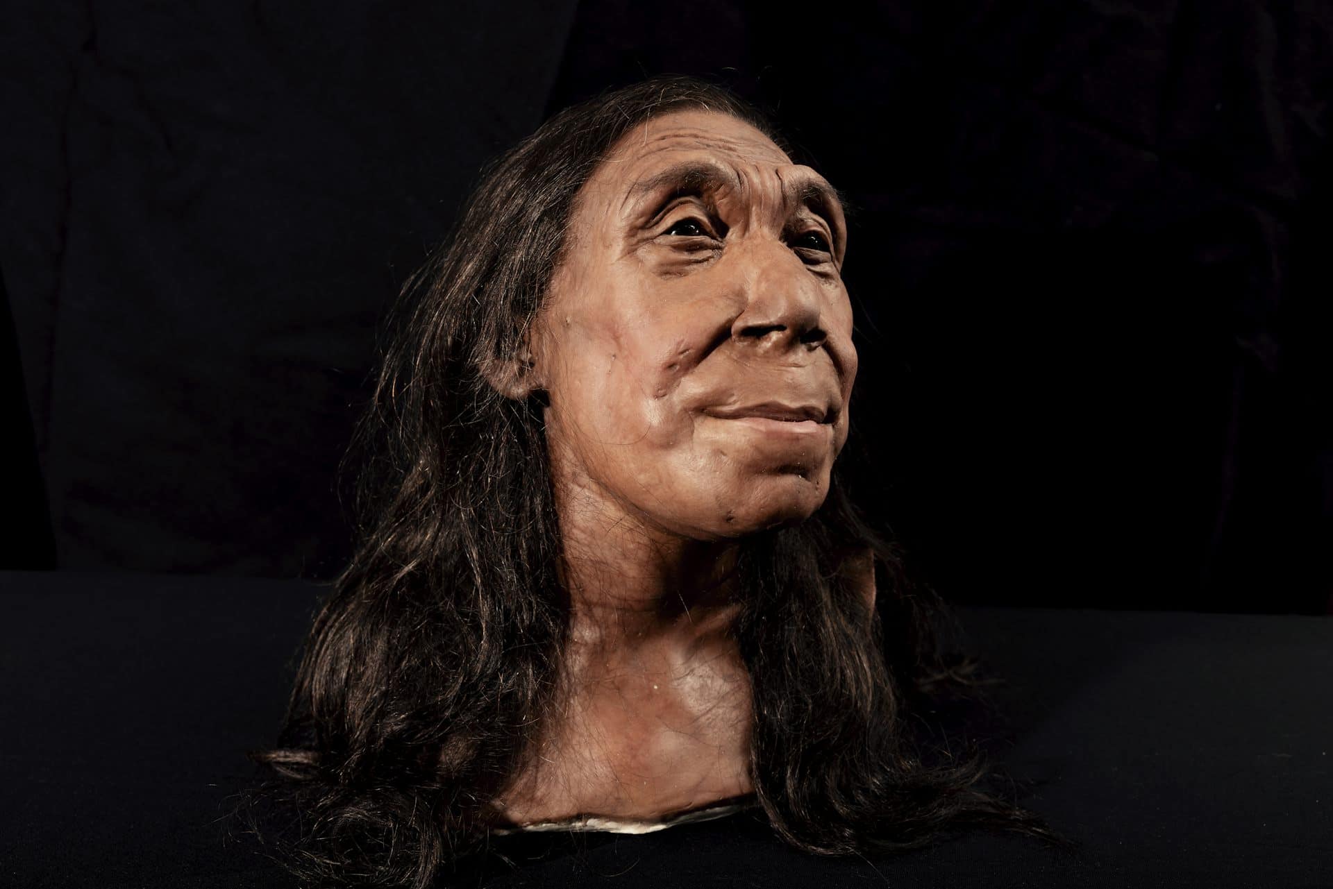 The recreated head of Shanidar Z, made by the Kennis brothers for the Netflix documentary ‘Secrets of the Neanderthals’ based on 3D scans of the reconstructed skull. BBC Studios/Jamie Simonds
