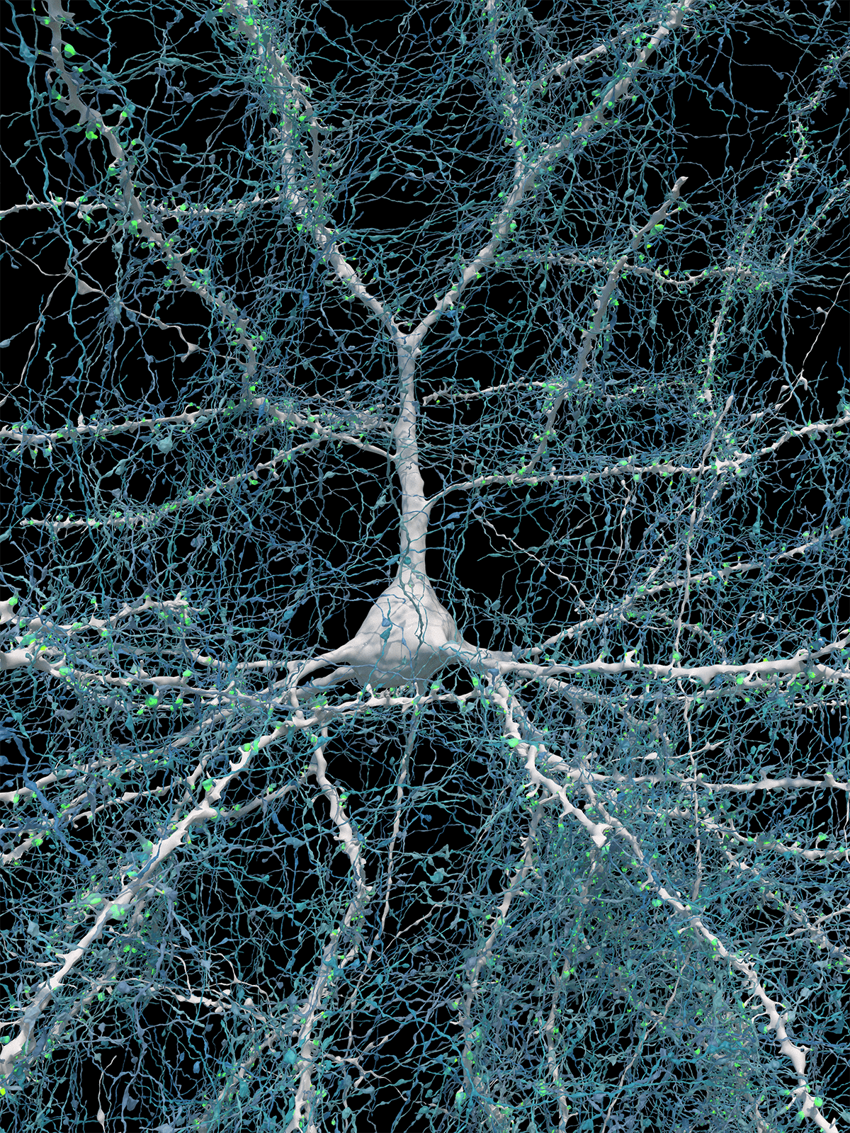 See the most detailed map of human brain matter ever created